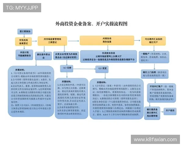 凯发开户流程图详细解析，帮助用户理解每个步骤的操作要点和注意事项